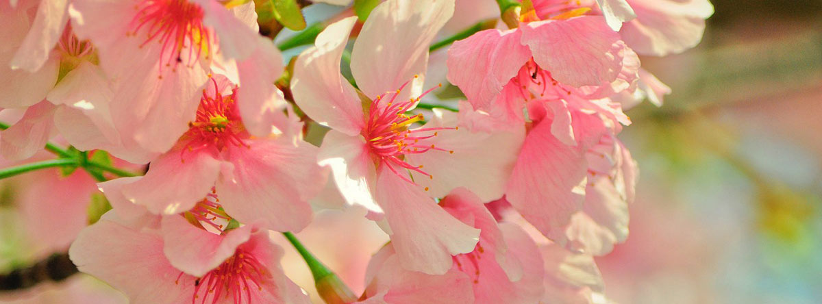background photo for Heavenly Therapeutic Massage